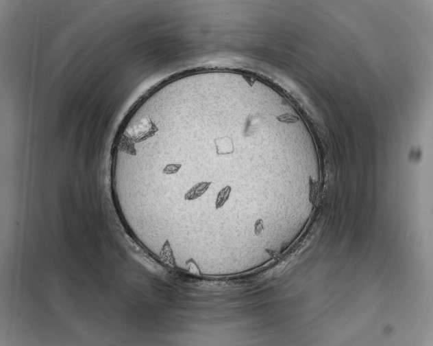 X0000101121232200807241151
