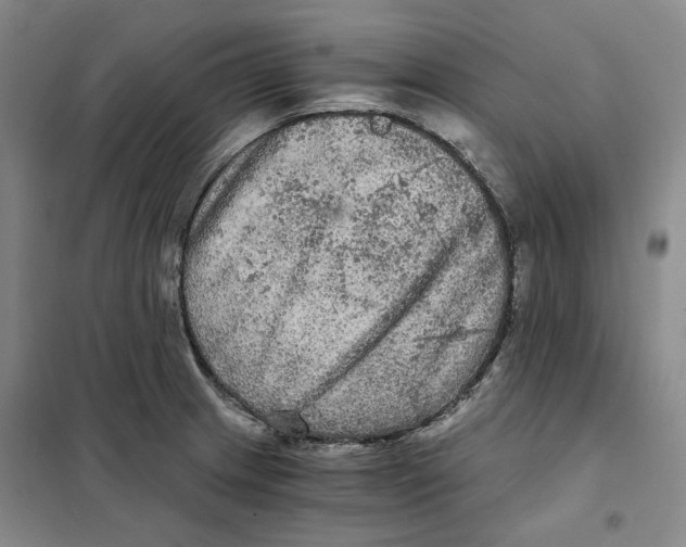 X0000101121233200807241151