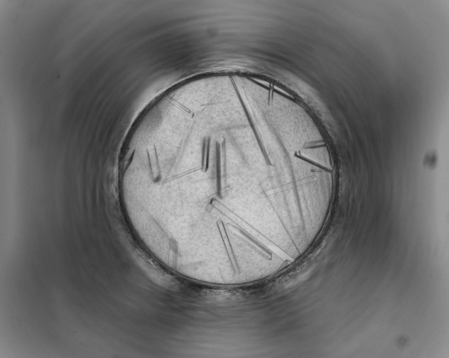 X0000101121234200807241151