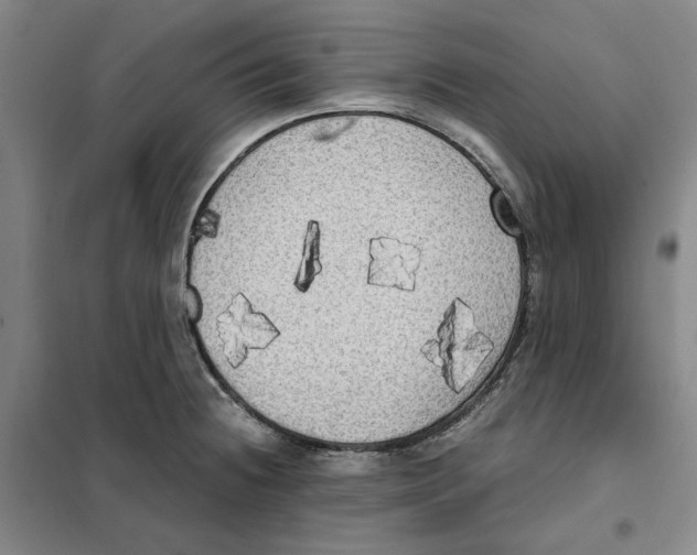 X0000101121236200807241151