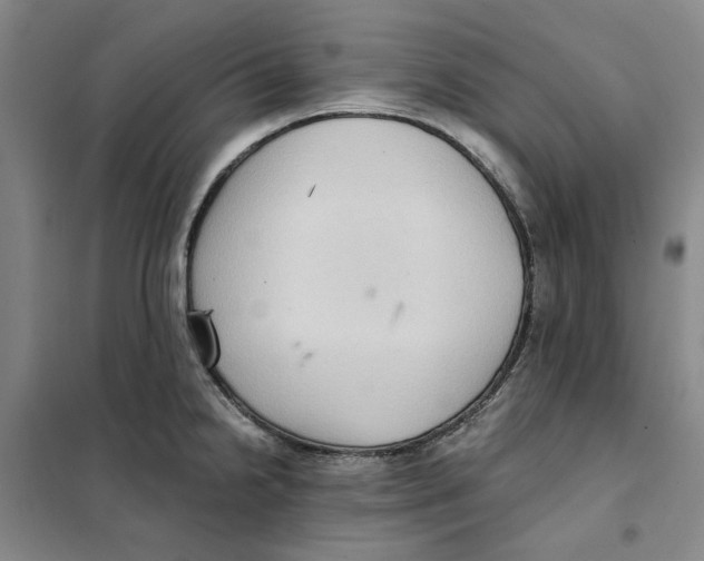 X0000101121238200807241151