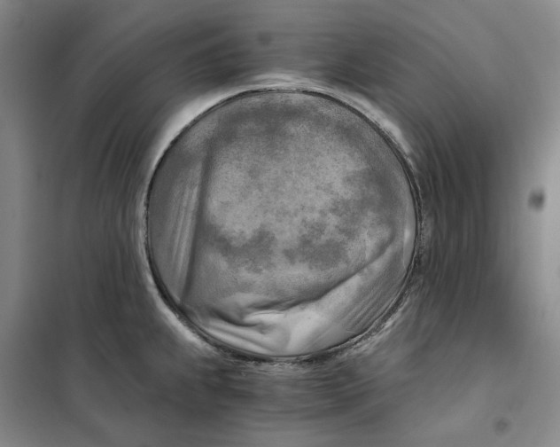 X0000101121239200807241151