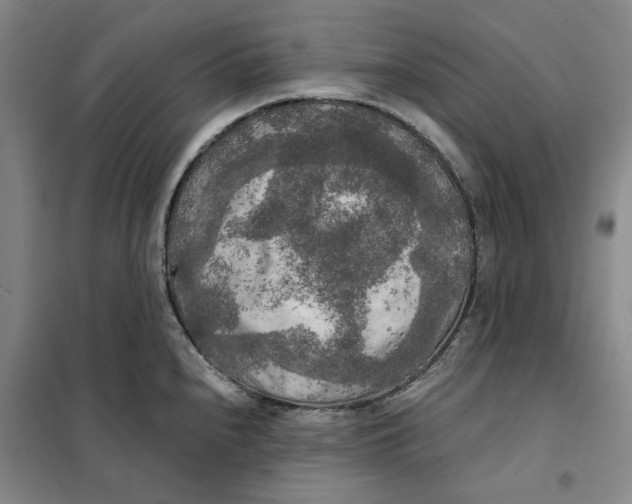 X0000101121240200807241151