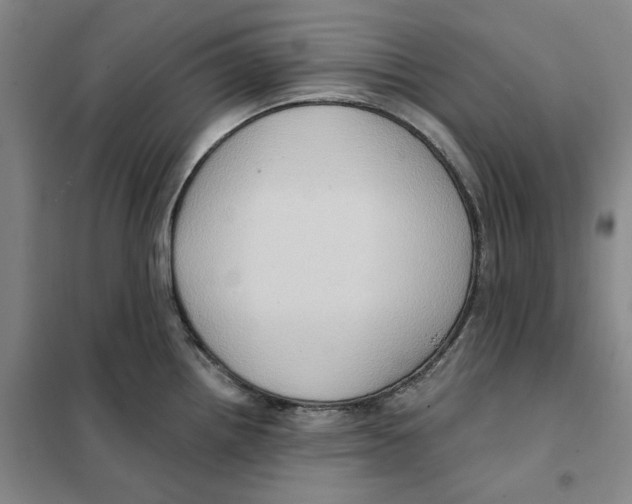 X0000101121242200807241151