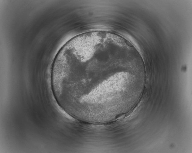 X0000101121243200807241151