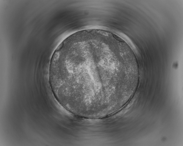 X0000101121244200807241151