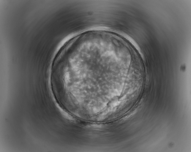 X0000101121245200807241151