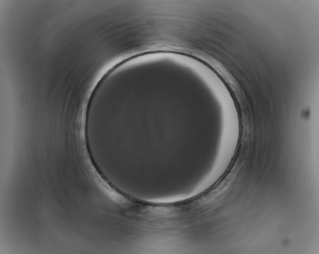 X0000101121246200807241151