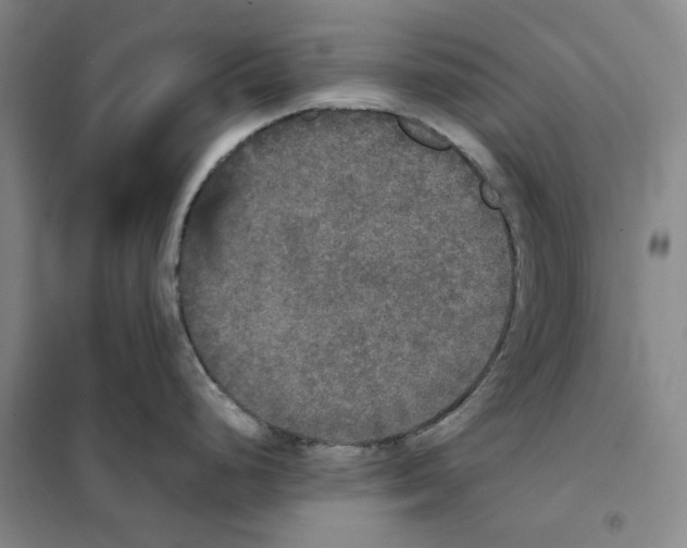 X0000101121248200807241151