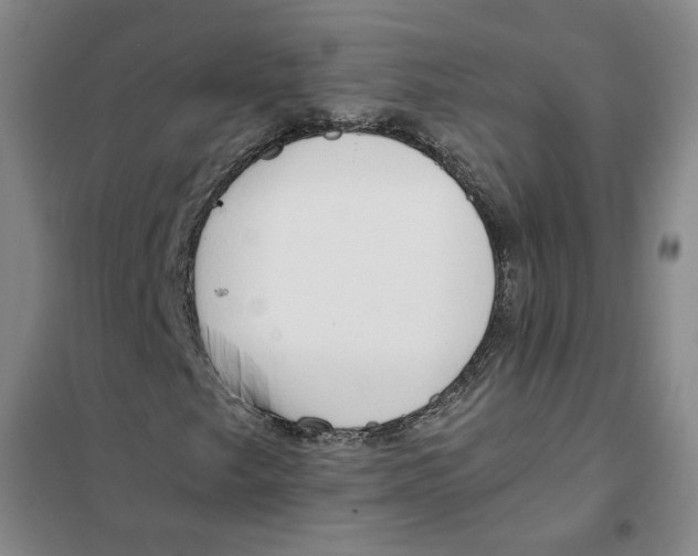 X0000101121249200807241151