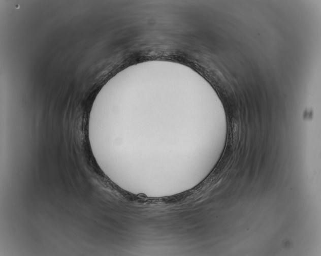 X0000101121250200807241151
