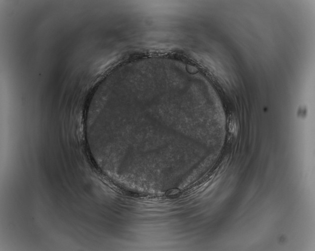 X0000101121252200807241151