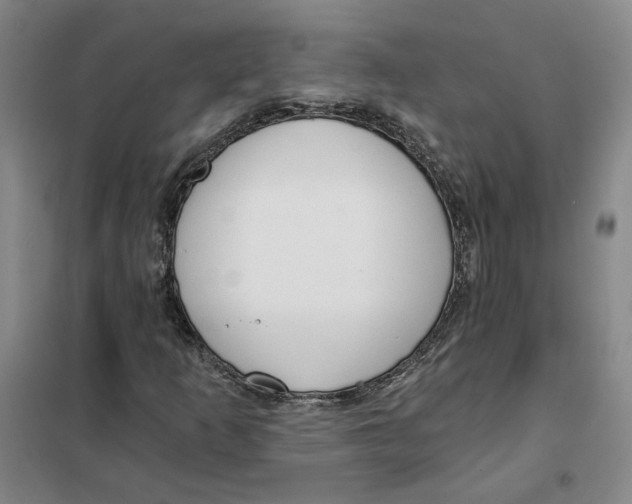 X0000101121253200807241151