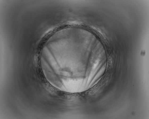 X0000101121254200807241151