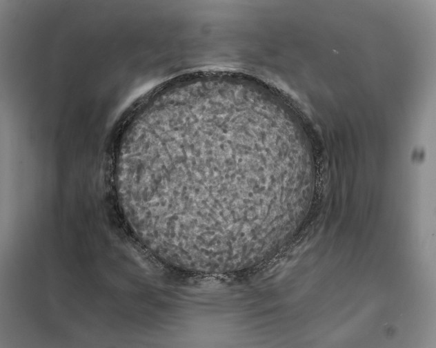 X0000101121255200807241151