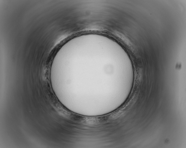X0000101121258200807241151