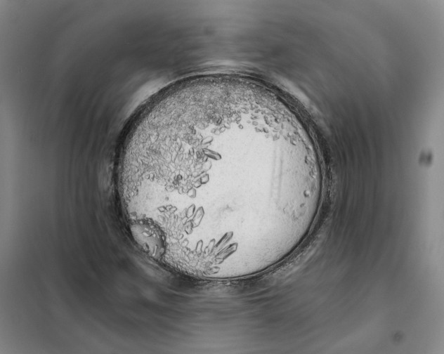 X0000101121259200807241151