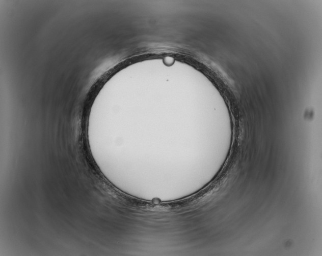 X0000101121261200807241151