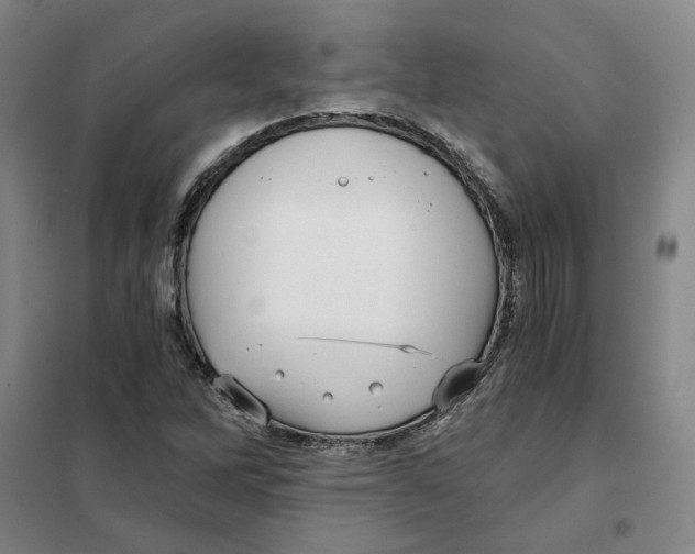X0000101121262200807241151