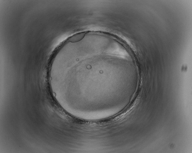 X0000101121263200807241151
