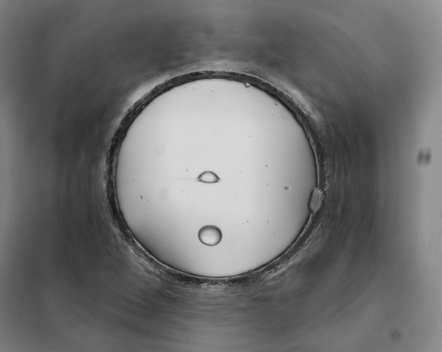 X0000101121264200807241151