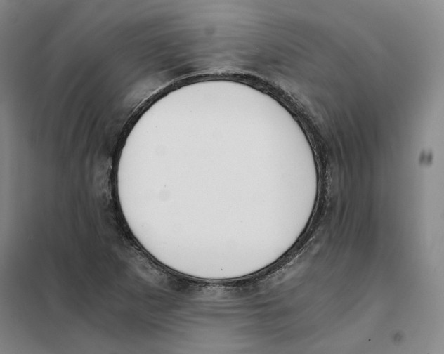 X0000101121265200807241151