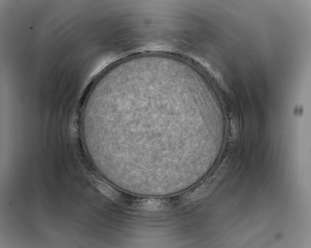 X0000101121266200807241151