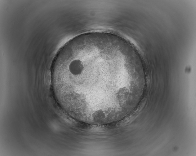 X0000101121267200807241151