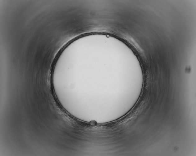 X0000101121268200807241150