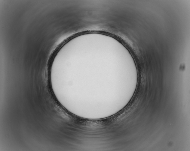 X0000101121270200807241150