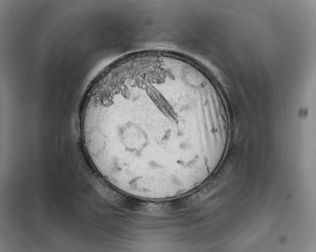 X0000101121271200807241150