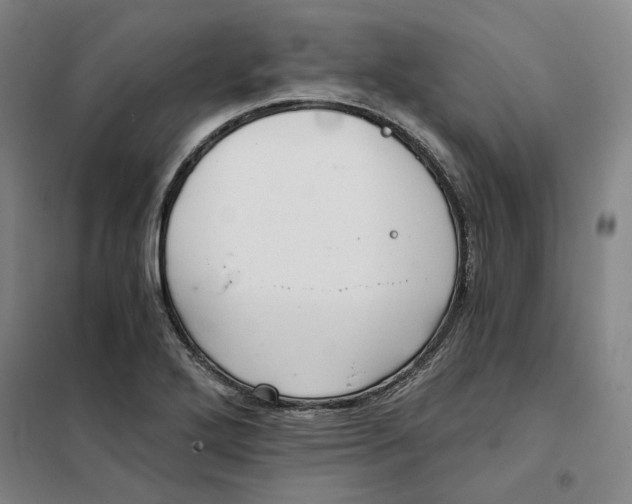 X0000101121272200807241150