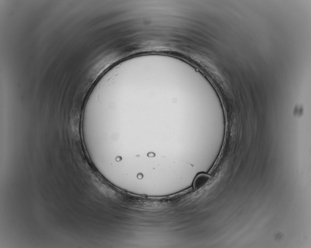 X0000101121273200807241150