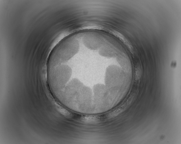 X0000101121274200807241150