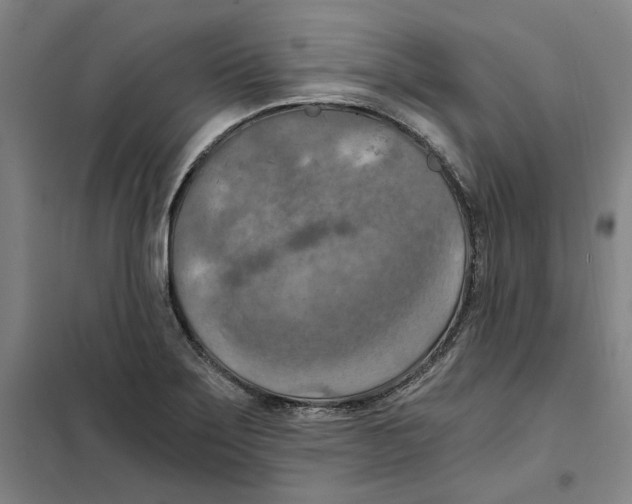 X0000101121275200807241150