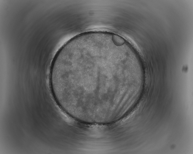 X0000101121277200807241150