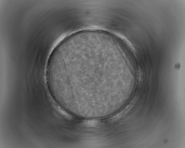 X0000101121278200807241150