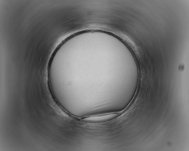 X0000101121280200807241150