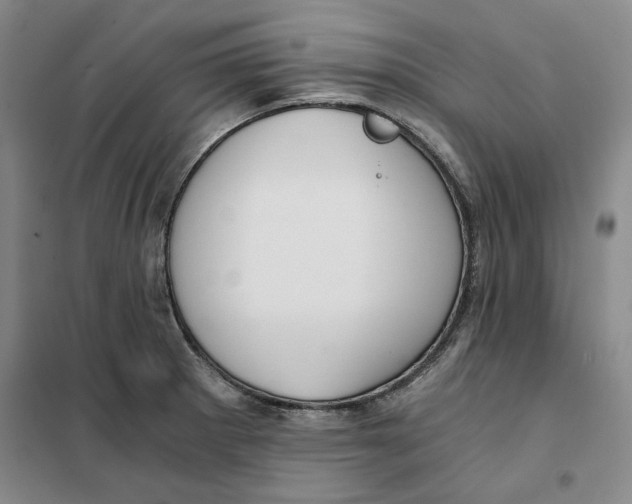X0000101121281200807241150