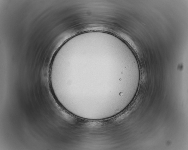 X0000101121282200807241150