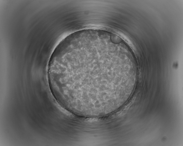 X0000101121283200807241150