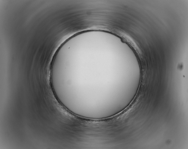 X0000101121284200807241150