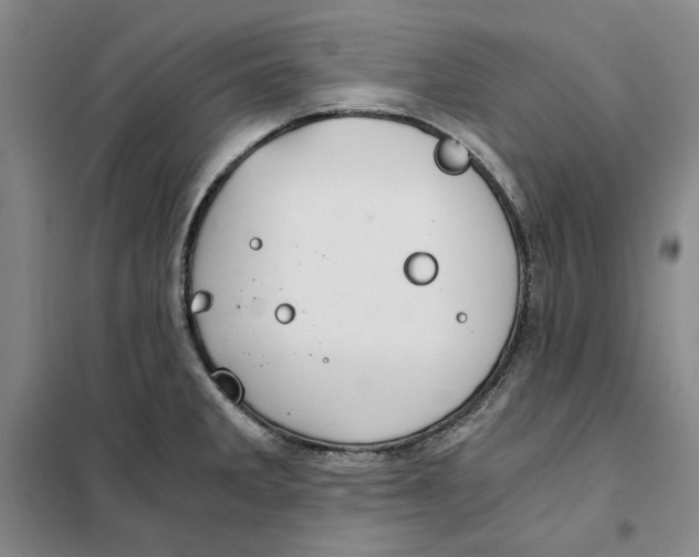 X0000101121285200807241150