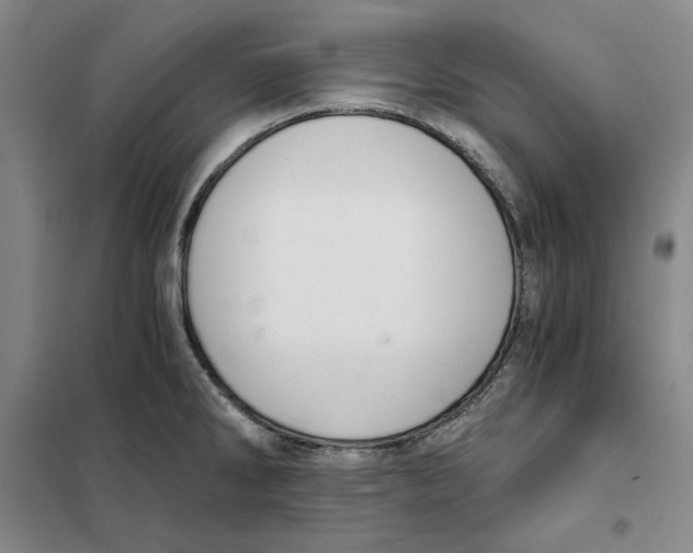 X0000101121286200807241150