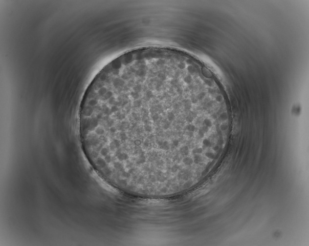 X0000101121287200807241150