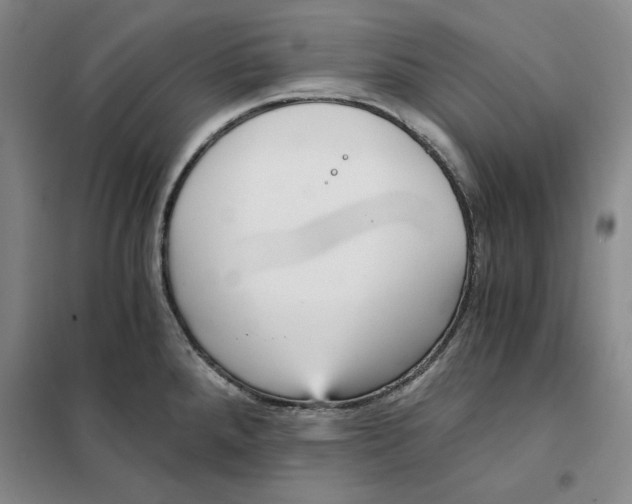 X0000101121288200807241150