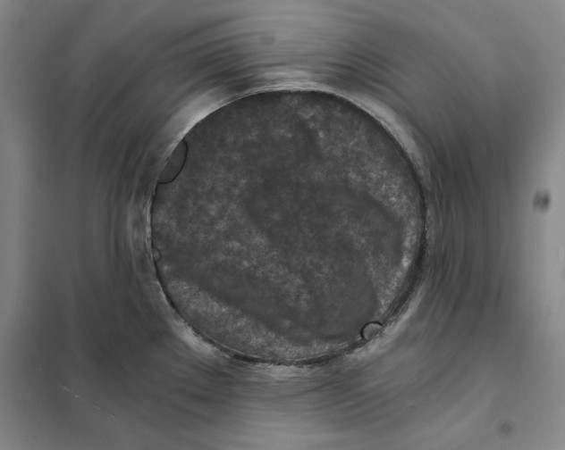 X0000101121289200807241150