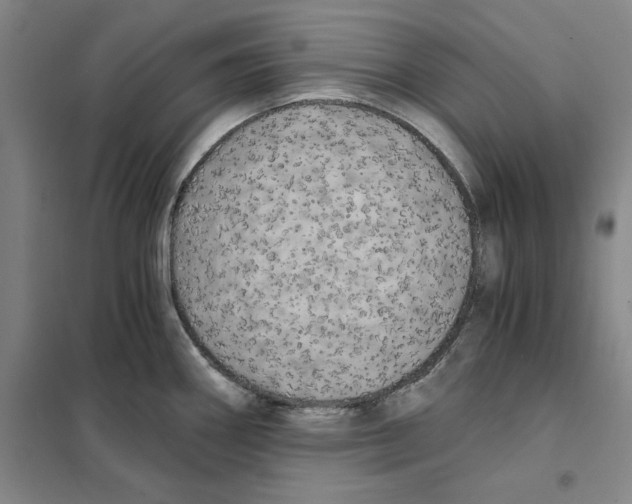 X0000101121290200807241150