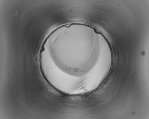 X0000101121291200807241150