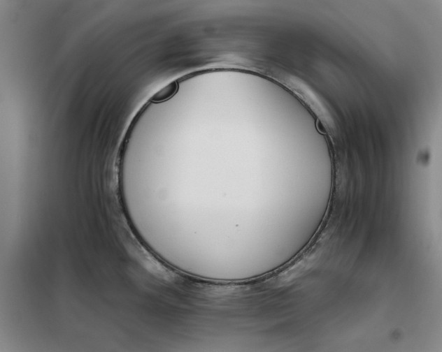 X0000101121292200807241150